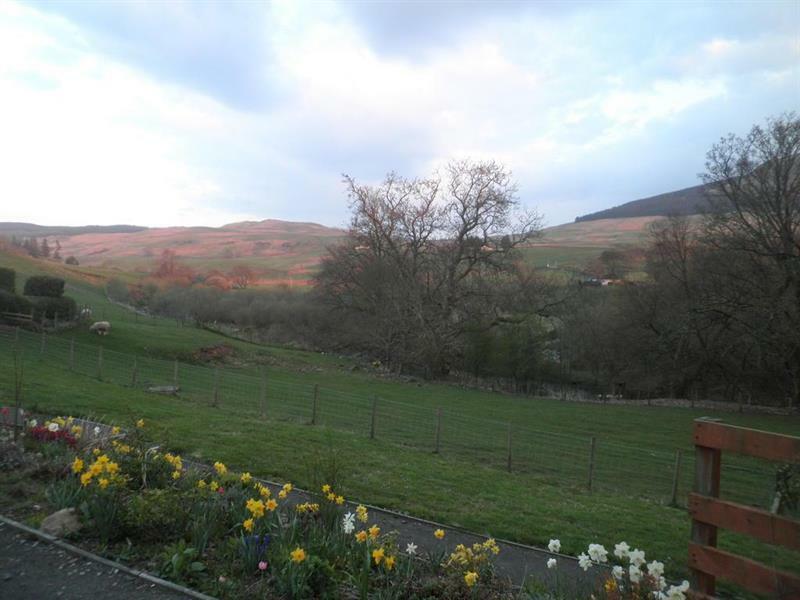 Fintry Rockfoot B&B المظهر الخارجي الصورة